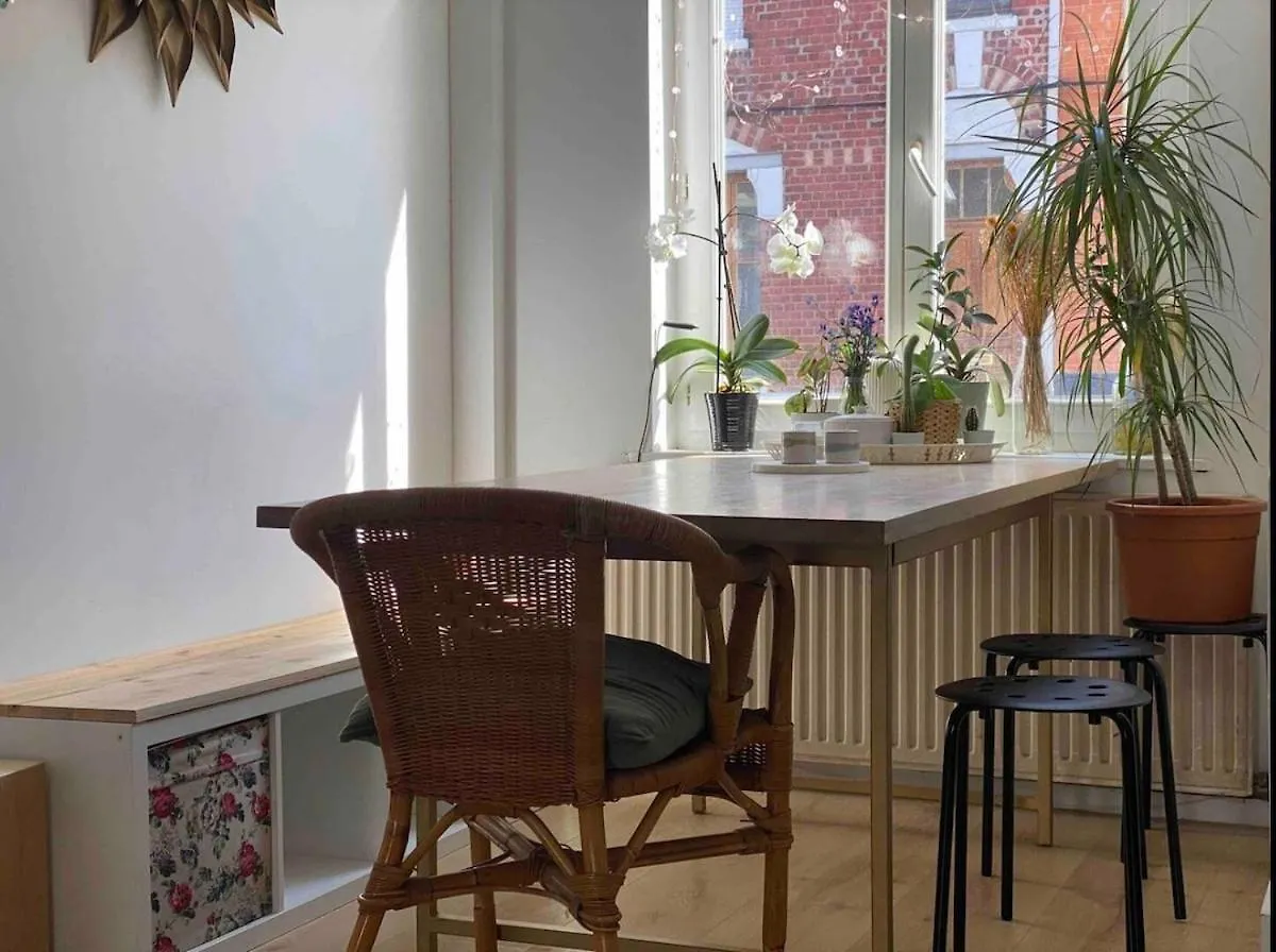 Maison Avec Jardin A Lille - La Pepiniere