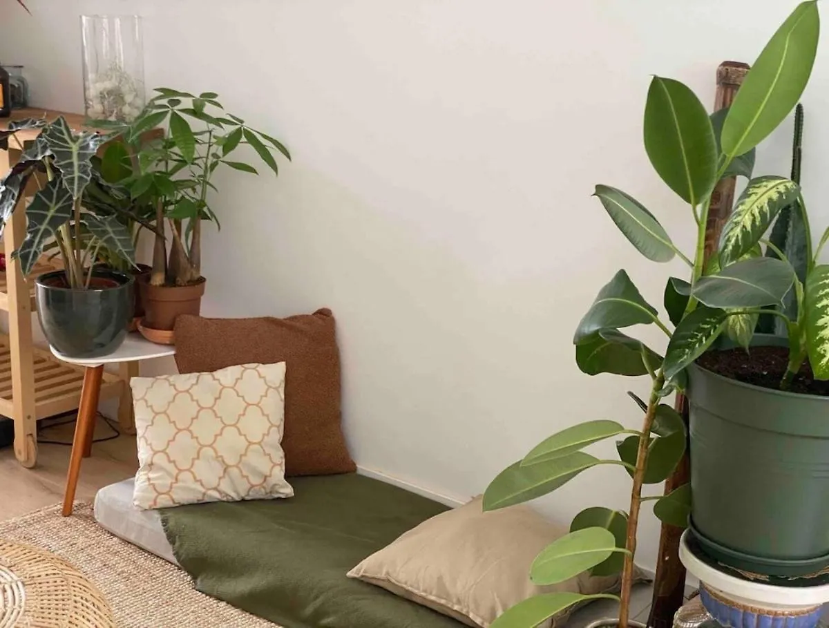 Maison Avec Jardin A Lille - La Pepiniere