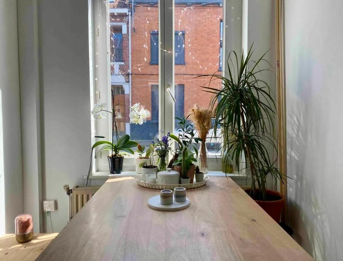 Maison Avec Jardin A Lille - La Pepiniere Holiday home