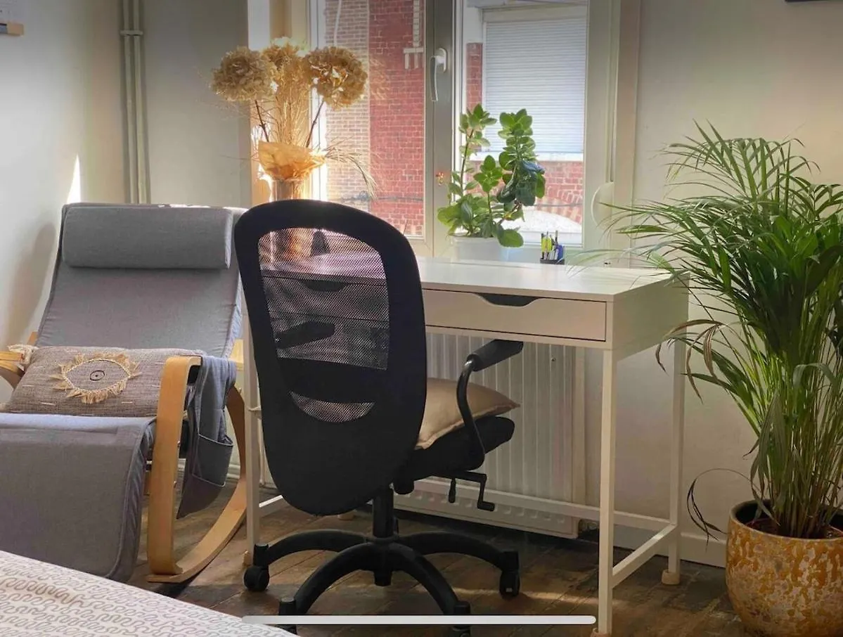 Maison Avec Jardin A Lille - La Pepiniere 0*,
