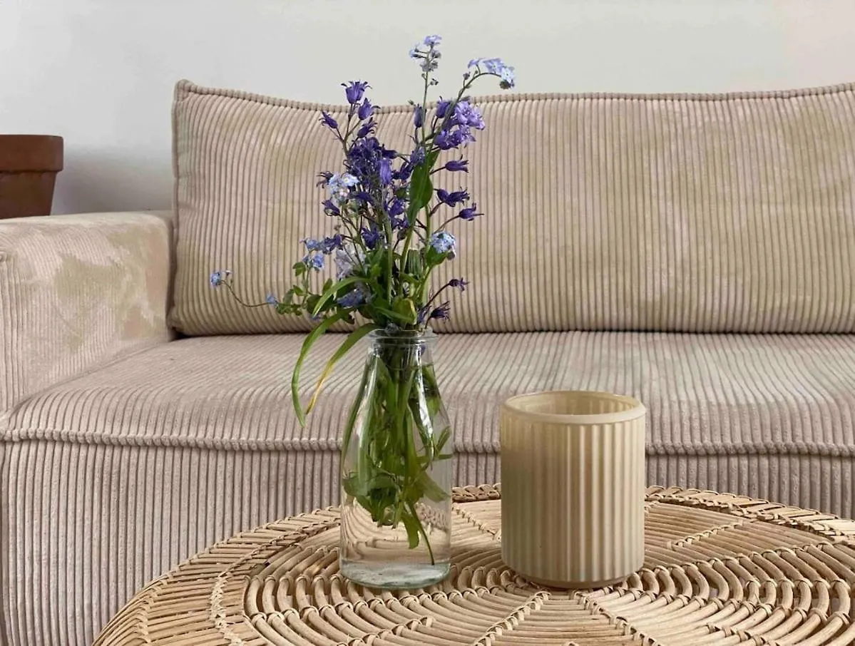 Maison Avec Jardin A Lille - La Pepiniere Holiday home